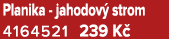 Planika jahodov strom 4164521 239 K 