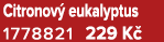 Citronov eukalyptus 1778821 229 K 