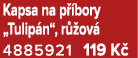Kapsa na p bory „Tulip n“, r  ov  4885921 119 K 